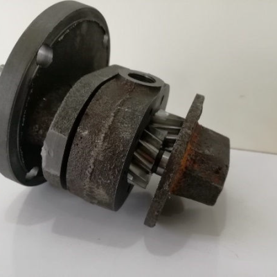 image_2025-03-17_11-19-34 image_2025-03-17_11-19-34